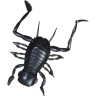 Силиконовая приманка DAIWA Kikker Kikker (3.5см) Black 07430623